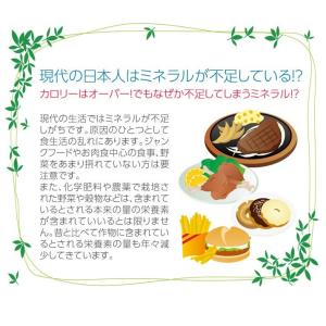 珪素のおかげ 濃縮溶液50ml 珪素水 珪素食...の詳細画像4