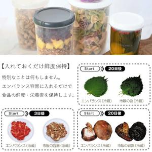 保存容器 エンバランス クリアコンテナ L 日...の詳細画像3