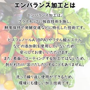 保存容器 エンバランス クリアコンテナ M 日...の詳細画像2
