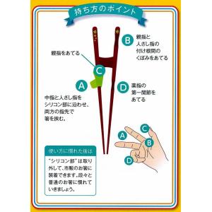 日本製 イシダ 矯正箸 ちゃんと箸 きちんと箸...の詳細画像2
