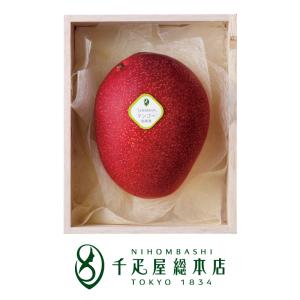 【申込期間：6月30日まで】日本橋 千疋屋総本店 宮崎県産 完熟マンゴー 4Lサイズ 1個 桐箱入