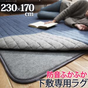 ラグ 下敷き 防音ふかふか下敷専用ラグ  230x170cm  厚手