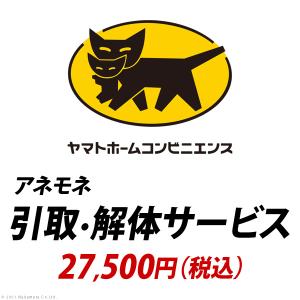 YHC 引取り・解体サービス[アネモネ]：+27,500円（税込）｜semins-zakaa