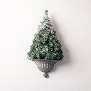 壁掛けクリスマスツリー ヌードツリー・スノー クリスマス 2023  Natale ナターレ｜sempre