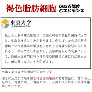 一石二鳥 2役 背中 首 熱放出 冷却 熱中症...の詳細画像4