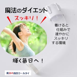 一石二鳥 2役 背中 首 熱放出 冷却 熱中症...の詳細画像3