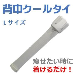 肩甲骨の周りにある褐色脂肪細胞で痩せるダイエット器具「背中クールタイ」L 基礎代謝を上げる ミトコンドリアを増やす スタミナアップ 健康グッズ