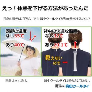 健康グッズ 背中クールタイ M 暑さ対策 熱中症対策グッズ