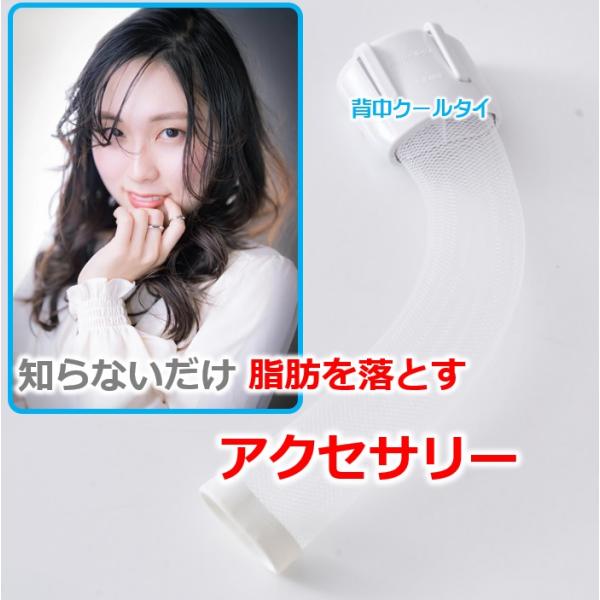 交感神経 仕組を引き出す 痩せる健康アクセサリー ネックタイと背中クールタイ ミトコンドリア 妊活 ...