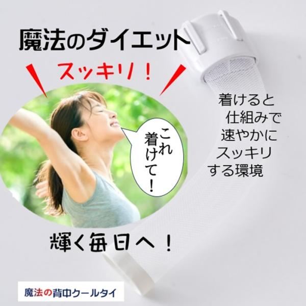 サプリメント お茶 より 交感神経 痩せる仕組を引き出し脂肪を減らす ダイエット器具 背中クールタイ...