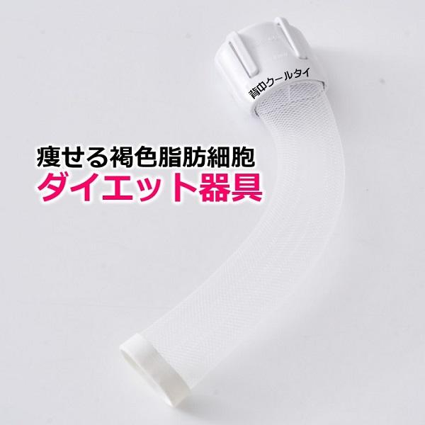 オリジナル品 交感神経 刺激 基礎代謝上げて痩せる仕組を引き出すダイエット器具 背中クールタイ お腹...