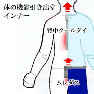 汗かいても濡れない「背中クールタイ」と「ムレダス」のお得なセット着ている衣服が 現象で一種の空調服に 熱中症対策 パンツの蒸れ対策 ダイエット妊活もできる