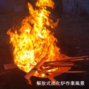 国産 竹炭 中大粒 10L 多孔質 透水性 保...の詳細画像2