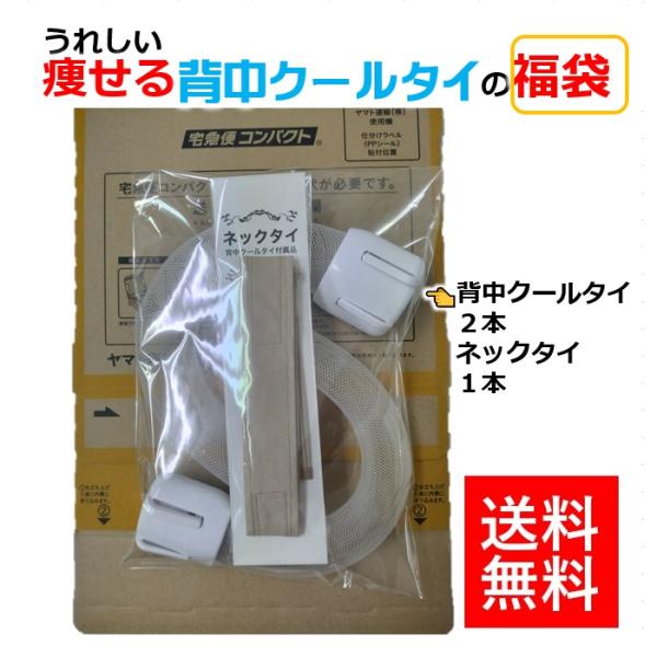 雑貨 福袋 おもしろ 日用品 ハンドメイド 新常識 ガジェット 背中クールタイ 厚生労働省アワード発...