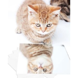 ミラーシール 鏡シール ウォールミラー 割れな...の詳細画像5