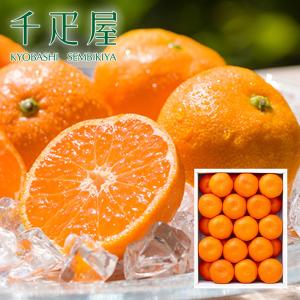 京橋千疋屋 千疋屋 ギフト フルーツ詰合せ（かご入り） : 京橋千疋屋