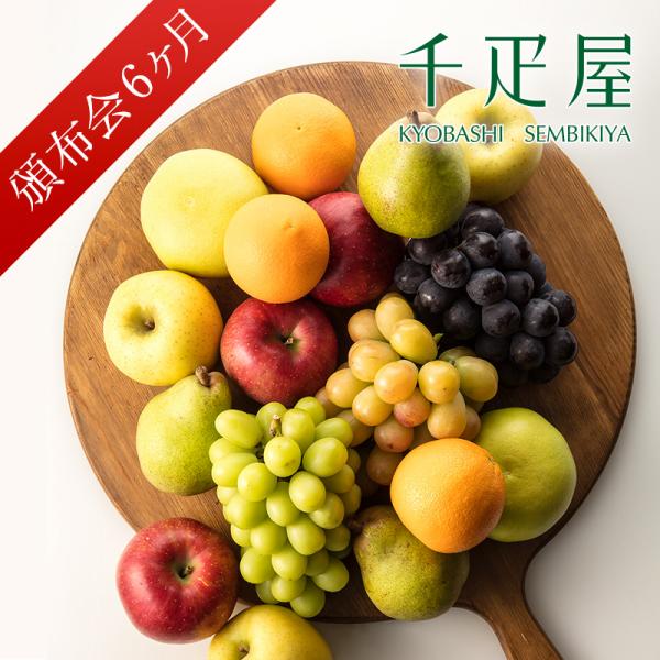千疋屋 ギフト フルーツ頒布会 Aデラックスコース6ヶ月（29,160円×6ヶ月）　 京橋千疋屋