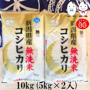 お米 BG無洗米 10kg(5kg×2） 新潟県産コシヒカリ  令和5年産