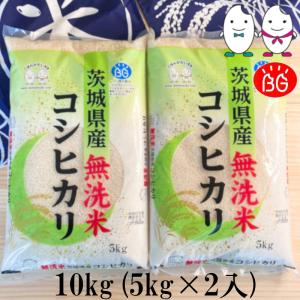 お米 BG無洗米 10kg(5kg×2） 茨城県産コシヒカリ 令和5年産