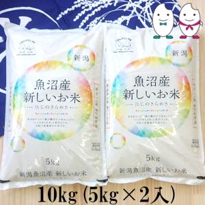 お米 10kg(5kg×2） 新潟県魚沼産にじのきらめき 令和5年産｜senda