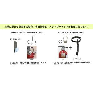 【25本以上用】【2025年製】業務用消火器 ...の詳細画像3