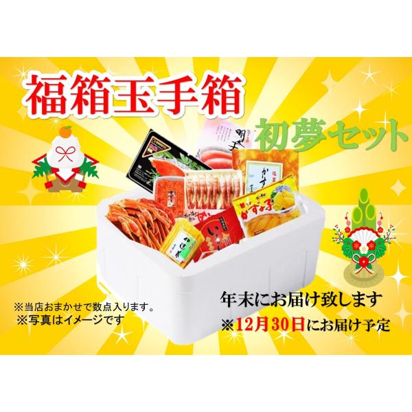 2026年 福袋 お正月 水産 福箱 玉手箱 初夢セット