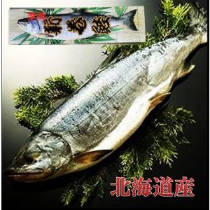 魚 ギフト  北海道産 銀毛 新巻鮭 1本 化粧箱 入れ 1.8〜2kg 贈り物 ご自宅用に 人気商品