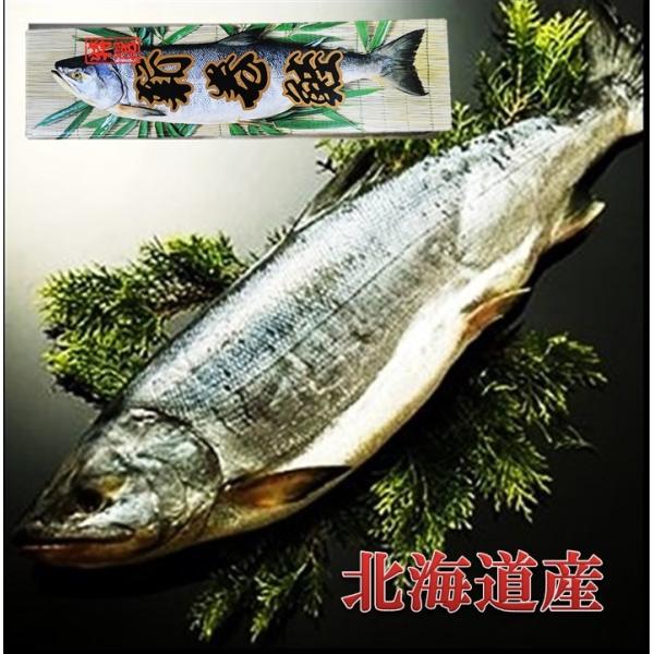 魚 ギフト お歳暮 令和７年 新物 北海道産 銀毛 新巻鮭 1本 化粧箱 入れ 1.8〜2kg 贈り...