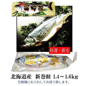 魚 ギフト  北海道産 銀毛 新巻鮭　北海道産　銀毛1本化粧箱入れ（1.4〜1.6kg） 贈り物 ご自宅用に｜sendai-tukeuo