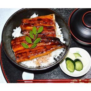 ウナギ 誕生日 ギフト ご贈答 鰻 贈答 お祝...の詳細画像1