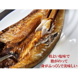 干物 脂ののったジューシーな 金華さば干し お...の詳細画像3