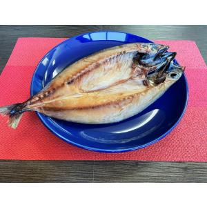 干物 脂ののったジューシーな 金華さば干し お...の詳細画像2