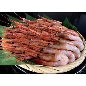 甘えび2Lサイズ1kg（約60尾）