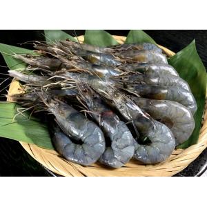 天使の海老1kg（30〜40尾）