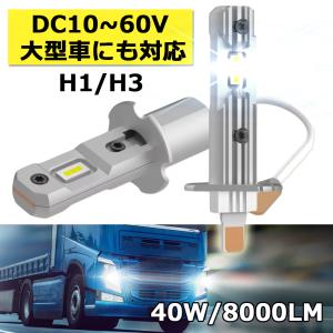 LEDヘッドライト フォグランプ H1/H3 DC12/24V兼用 大型車対応 ポン付け コンパクト 10~60V 40W 8000ルーメン 6000K/3000K 2本セット[M便 0/1]｜sendaizuihouen-store