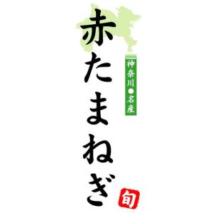 のぼり　のぼり旗　神奈川名産　赤たまねぎ｜sendenjapan