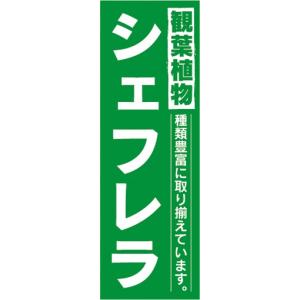 のぼり　ガーデン　観葉植物　シェフレラ　種類豊富に取り揃えています。　のぼり旗｜sendenjapan