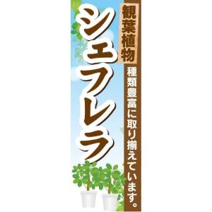 のぼり　ガーデン　観葉植物　シェフレラ　種類豊富に取り揃えています。　のぼり旗｜sendenjapan