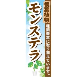 のぼり　ガーデン　観葉植物　モンステラ　種類豊富に取り揃えています　のぼり旗｜sendenjapan