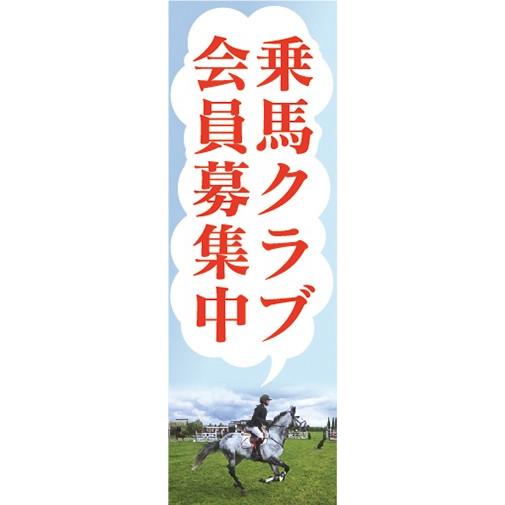 募集馬