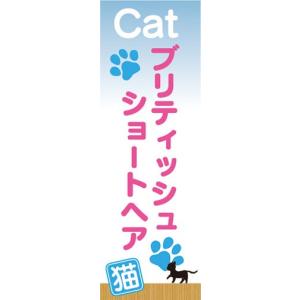 のぼり　のぼり旗　ブリティッシュショートヘア　猫　キャット｜sendenjapan