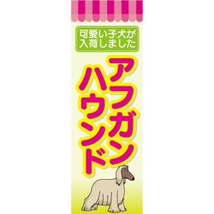アフガンハウンド 子犬の商品一覧 通販 Yahoo ショッピング