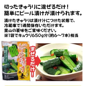 日光食品 ビール漬けの素 80g×5袋入り 漬...の詳細画像2