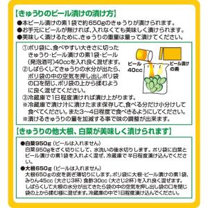 日光食品 ビール漬けの素 80g×5袋入り 漬...の詳細画像3