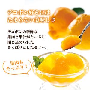 お中元 ギフト デコポンゼリー フルーツゼリー...の詳細画像2
