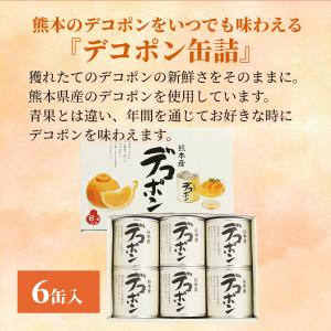 お中元 ギフト デコポン缶詰6缶入 ギフトセッ...の詳細画像3