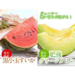 熊本産 肥後グリーンメロンと黒小玉スイカ詰め合...の詳細画像1