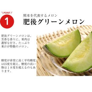 熊本産 肥後グリーンメロンと黒小玉スイカ詰め合...の詳細画像3