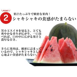 熊本産 肥後グリーンメロンと黒小玉スイカ詰め合...の詳細画像4