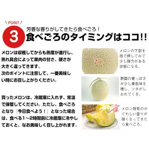 熊本産 肥後グリーンメロンと黒小玉スイカ詰め合...の詳細画像5